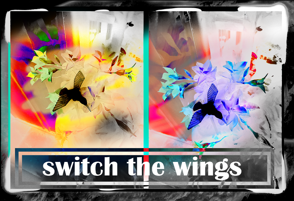 Title: Switch The Wings | Digital - 2022