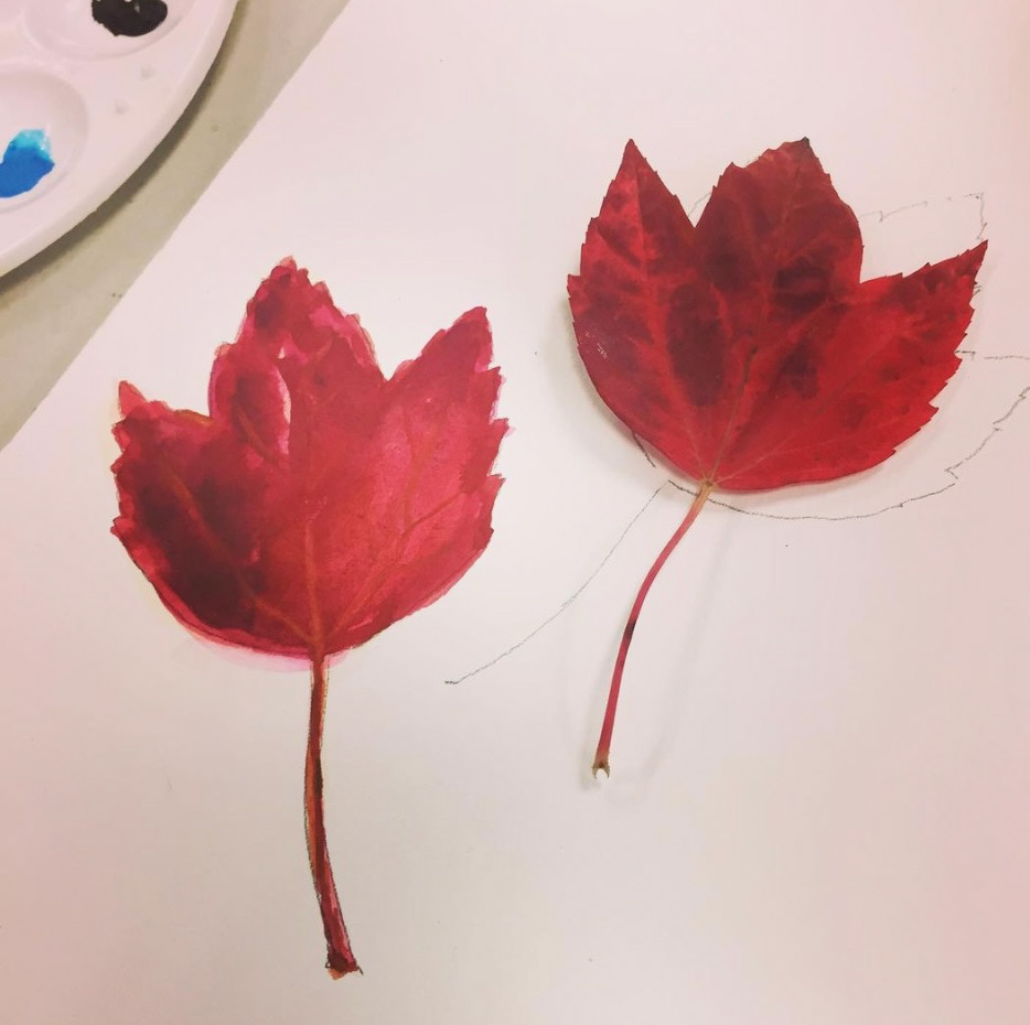 The Changing Leaves