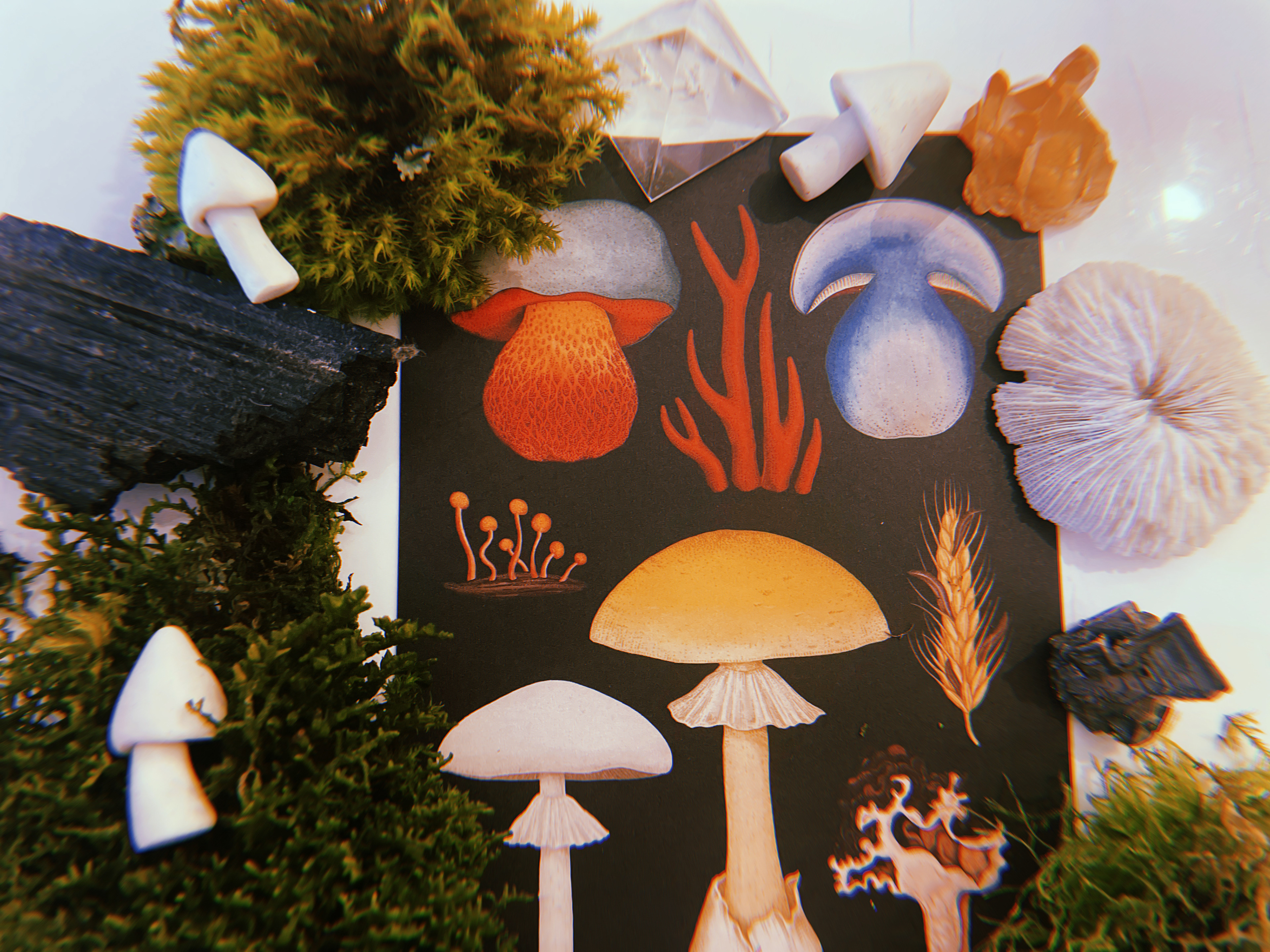 Growing & Forming 