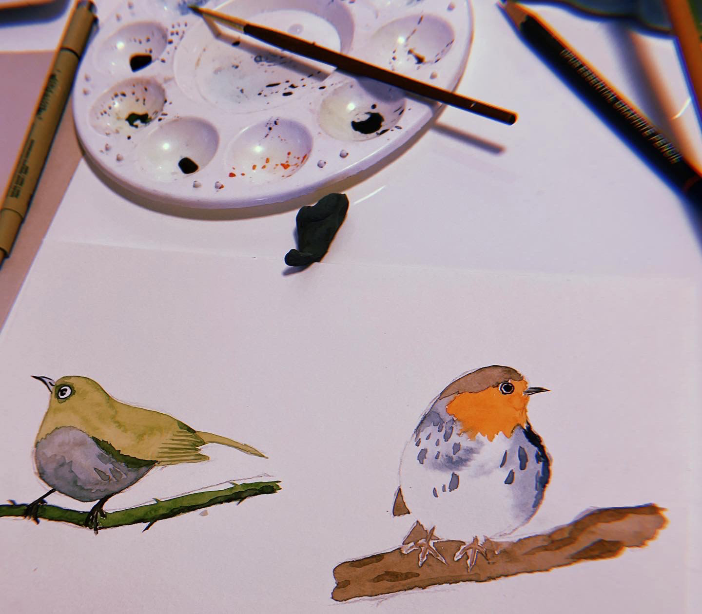 Spring Birds