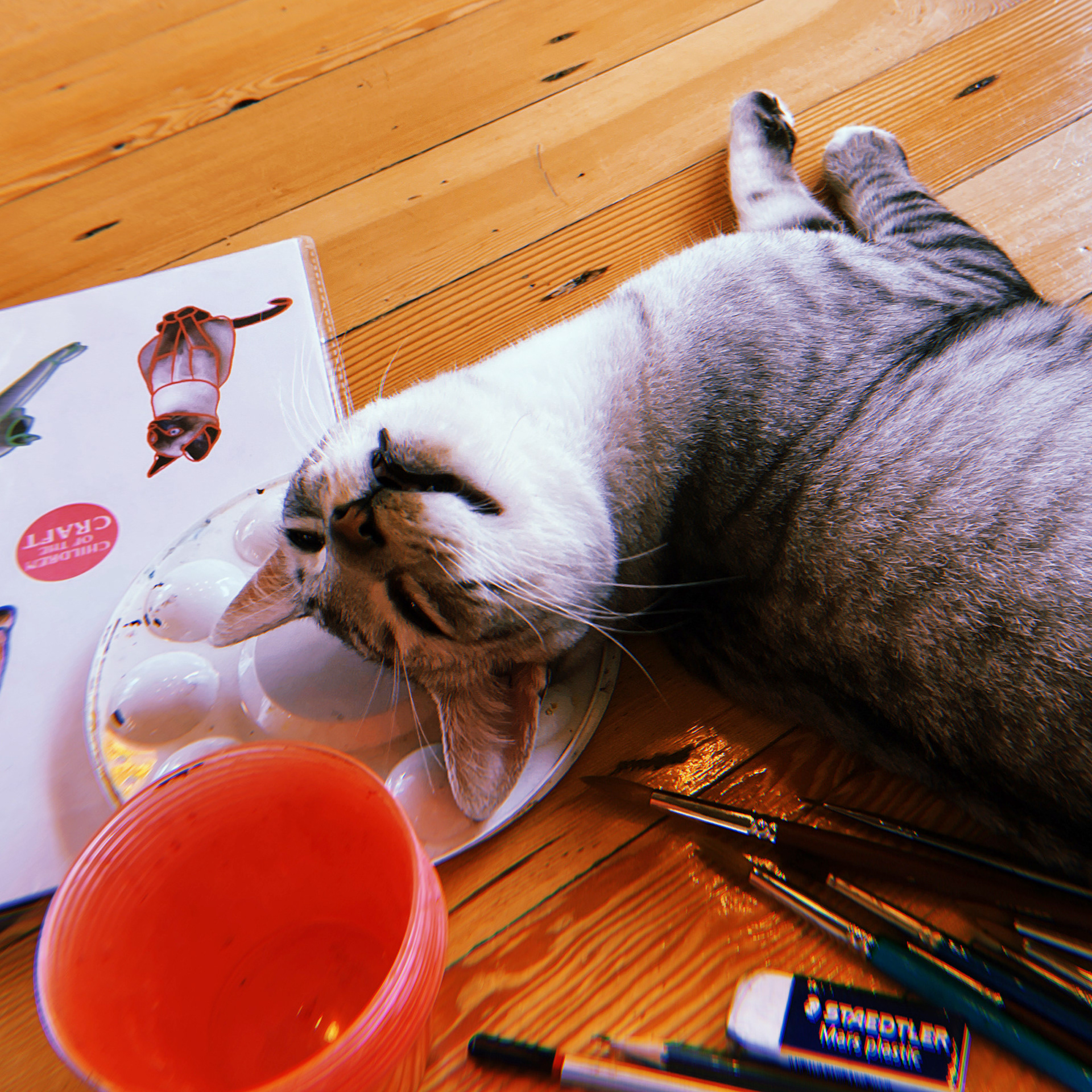 Catfe Watercolour Night