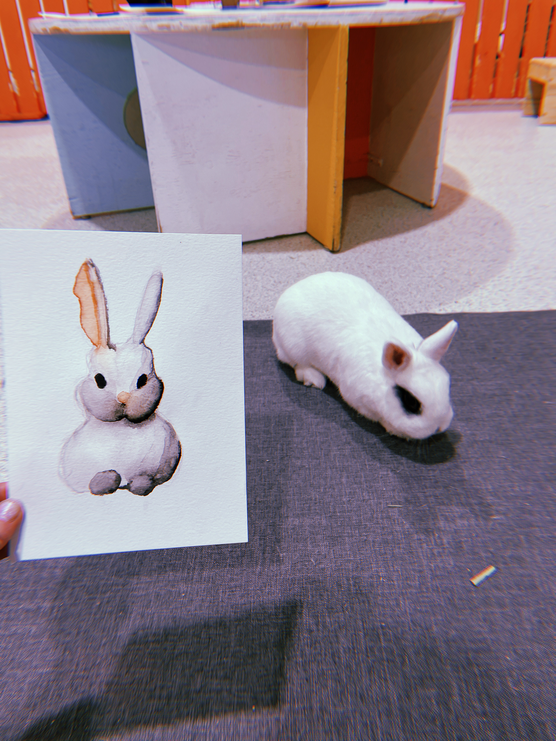 Bunny Cafe Watercolour Night