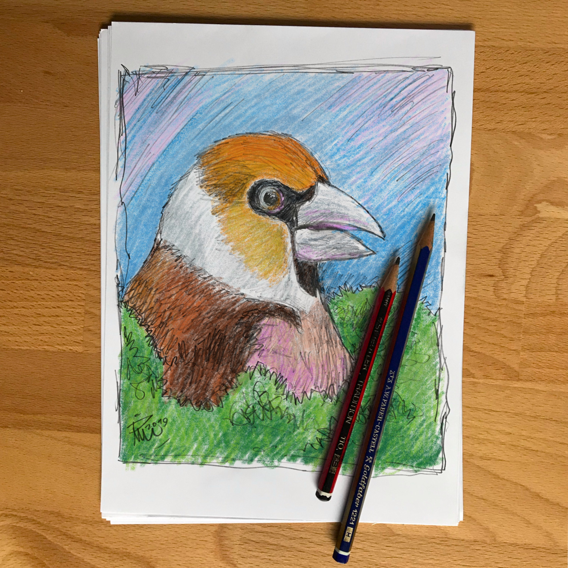Appelvink