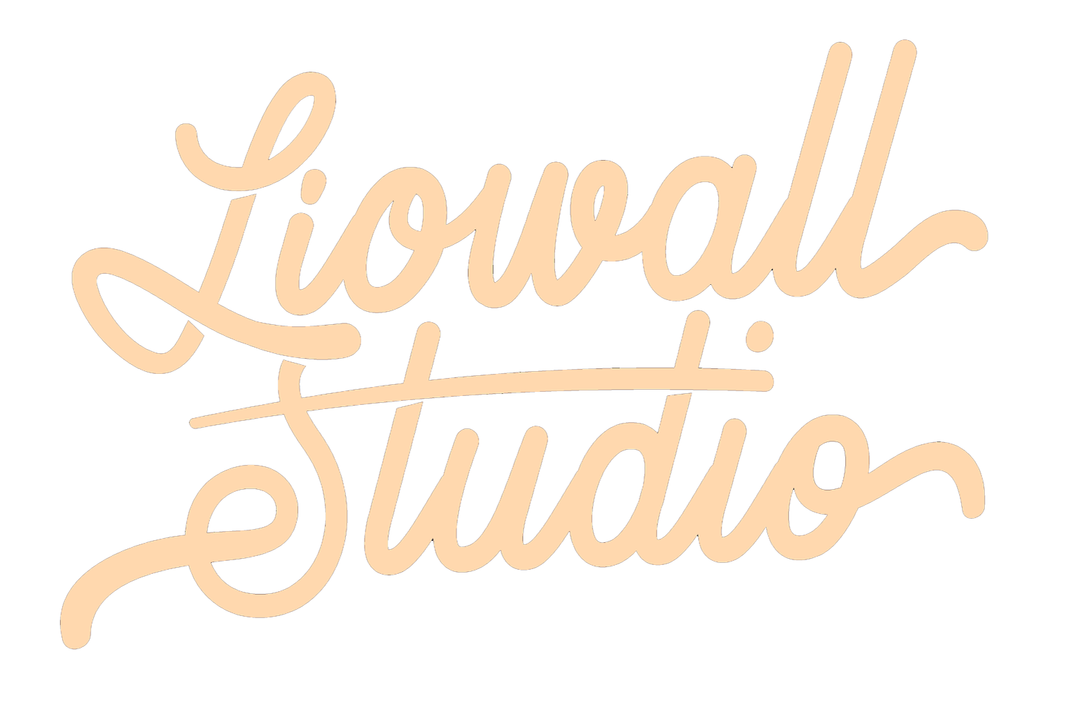 Liowall studio