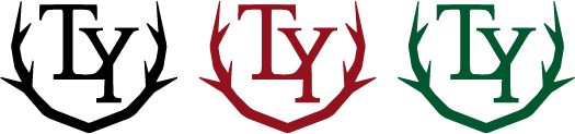TLY Consulting Logo