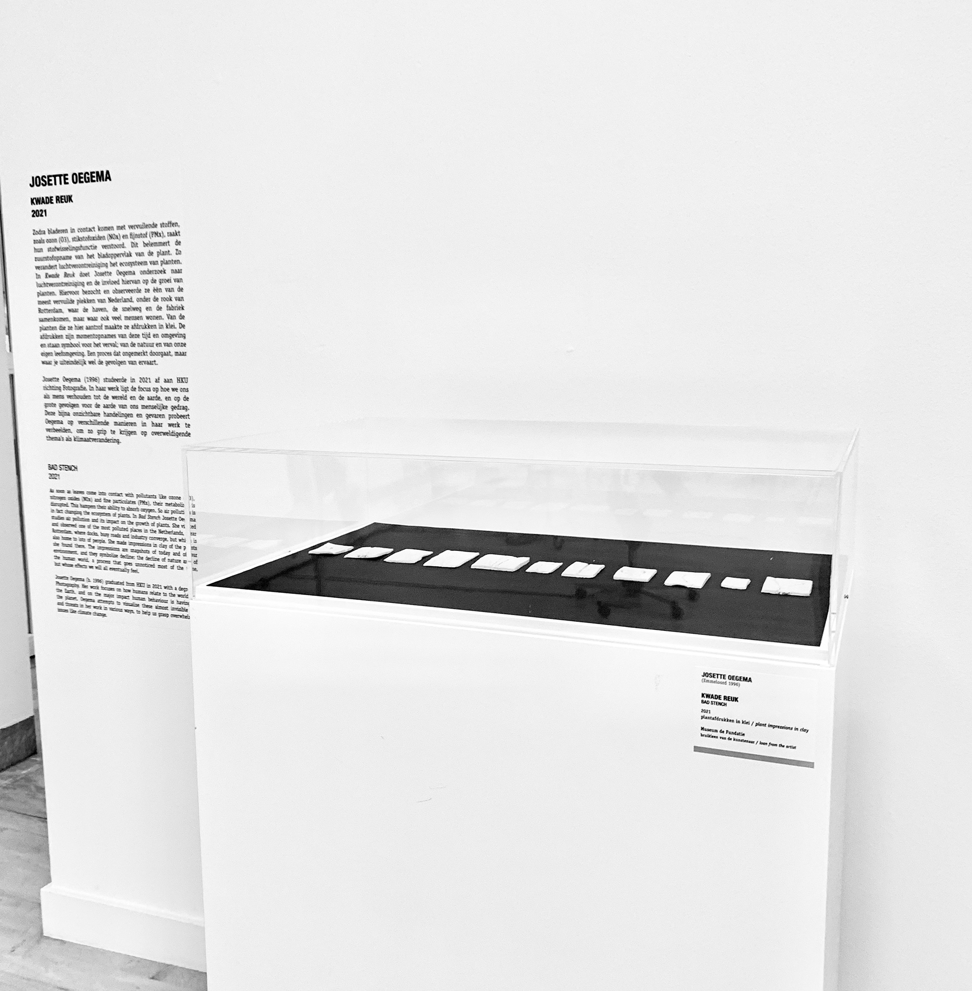 Nature Talks, expositie Museum de Fundatie '22