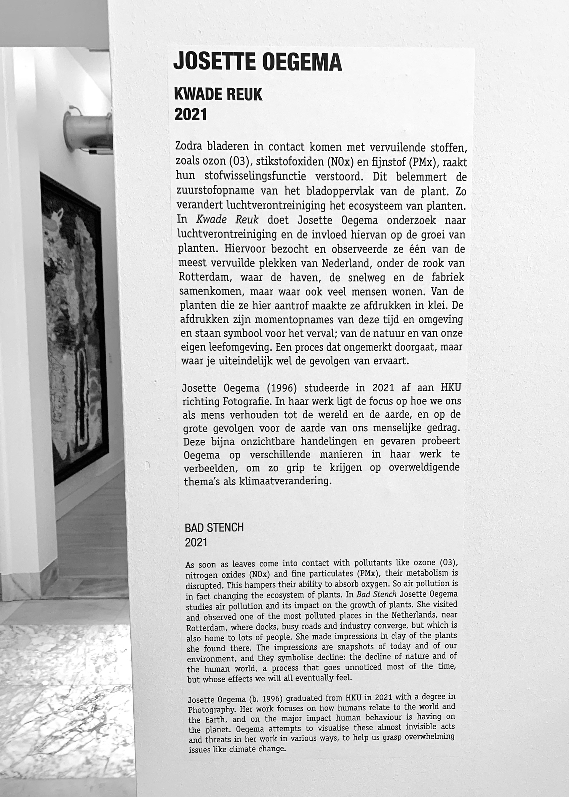 Nature Talks, expositie Museum de Fundatie '22