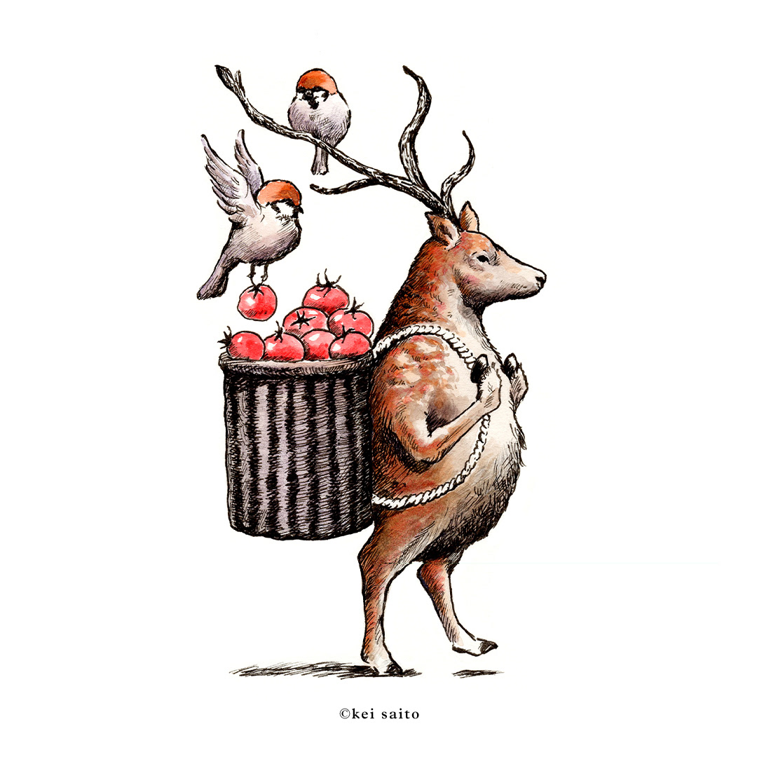 TOMATO