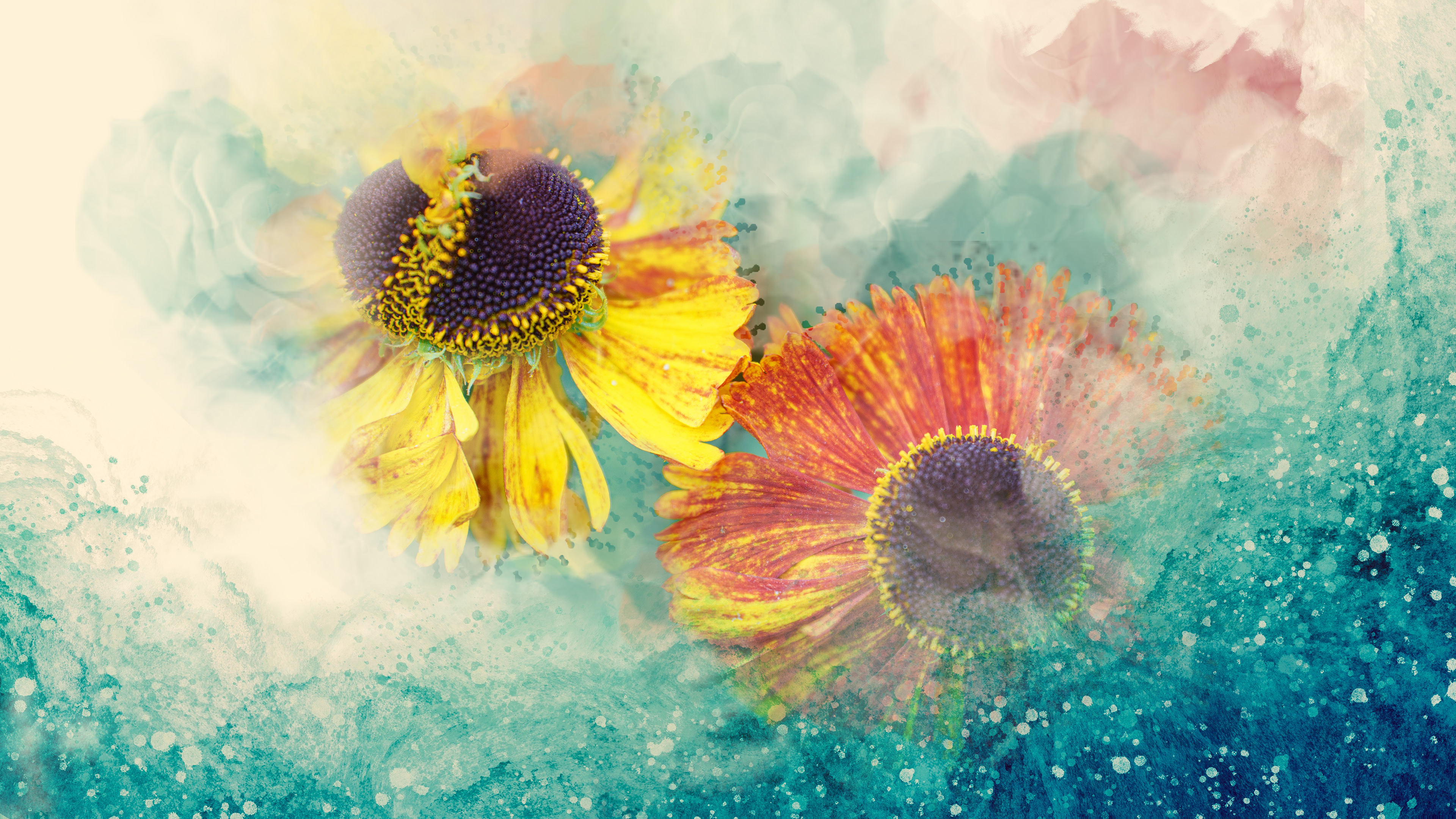 Heleniums