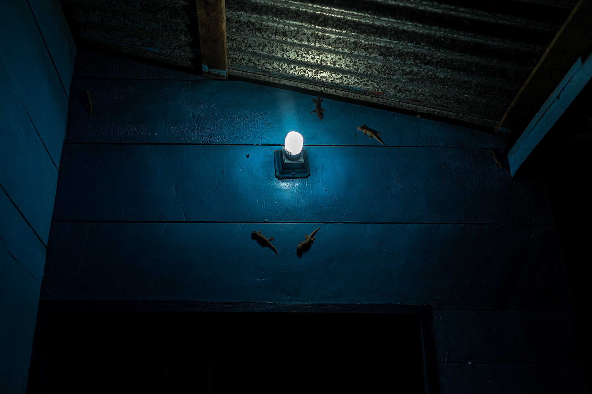 Tortuguero, Costa Rica