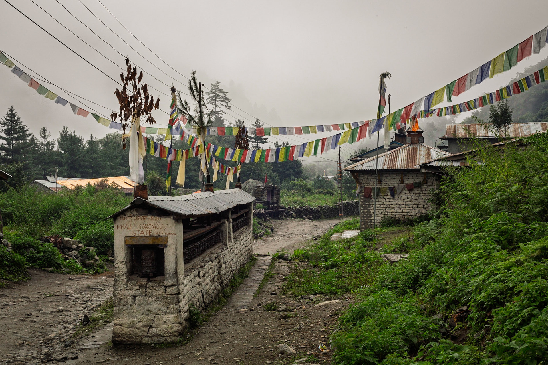 August, 11, 2014 - Quinche, Annapurna Conservation Area