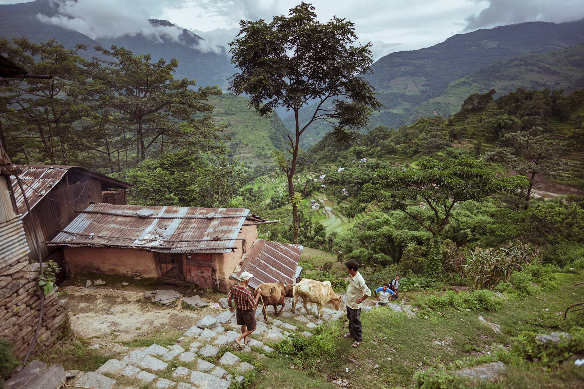 August, 8, 2014 - Bhulbule