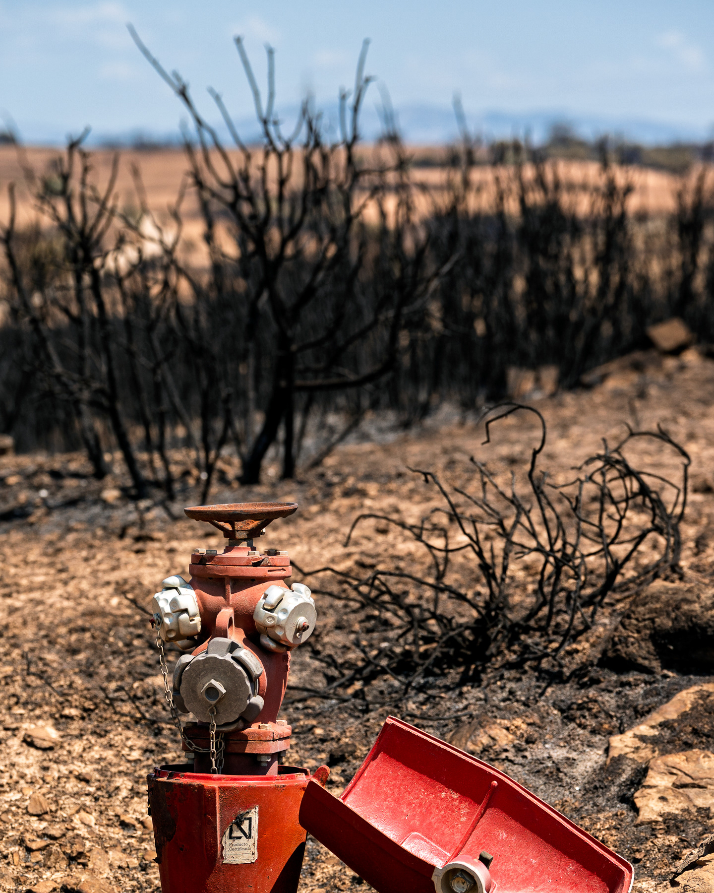 Wildfires in La Segarra, Lleida, Spain 2025