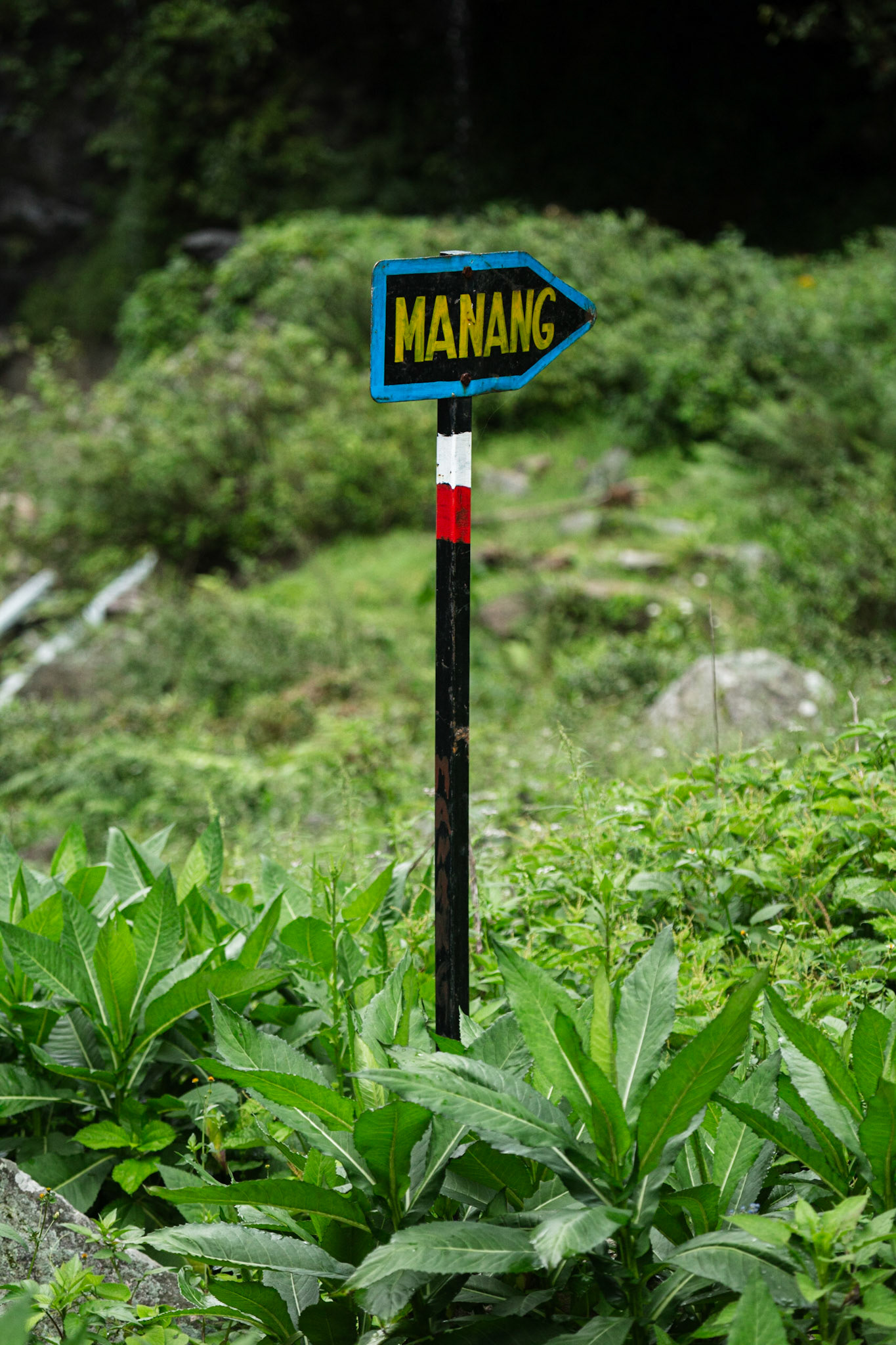 August, 9, 2014 - Annapurna Conservation Area