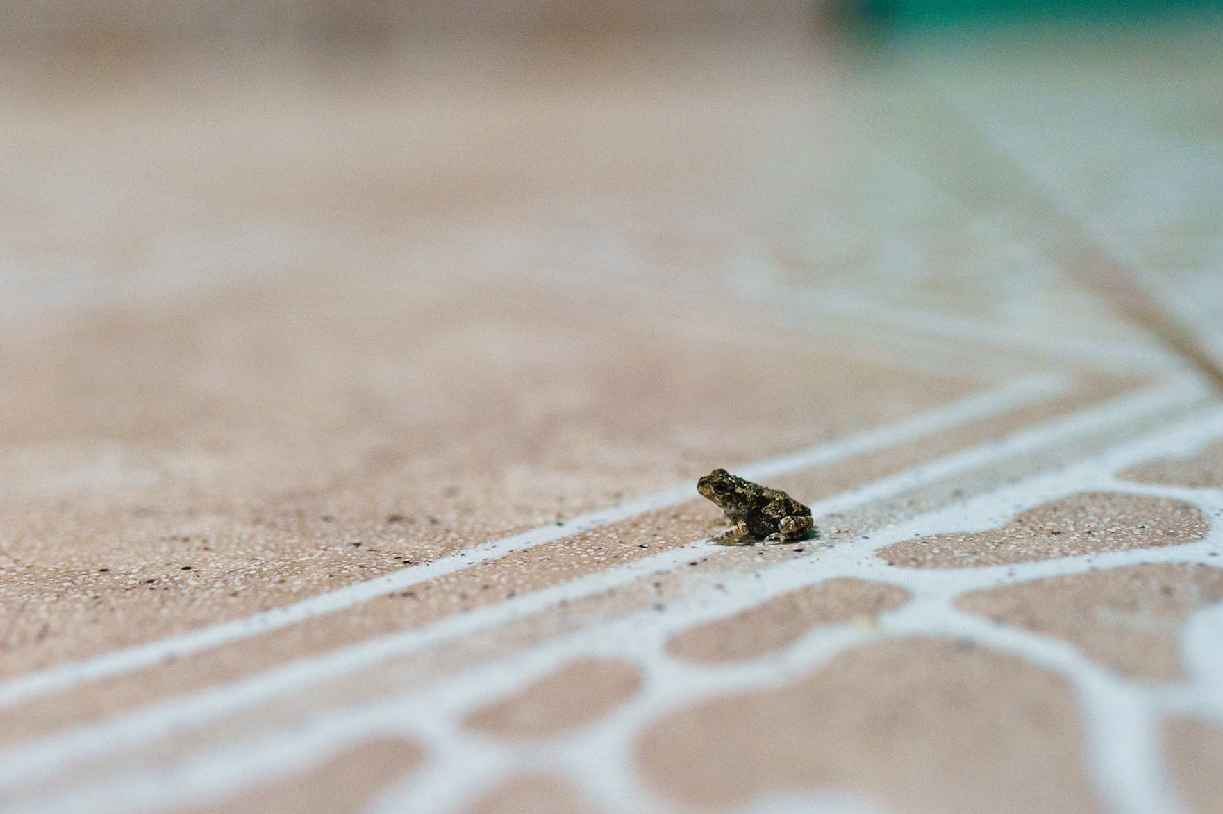 Tortuguero, Costa Rica