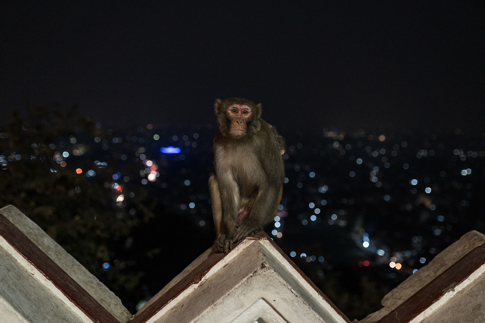 Monkey temple, Kathmandu