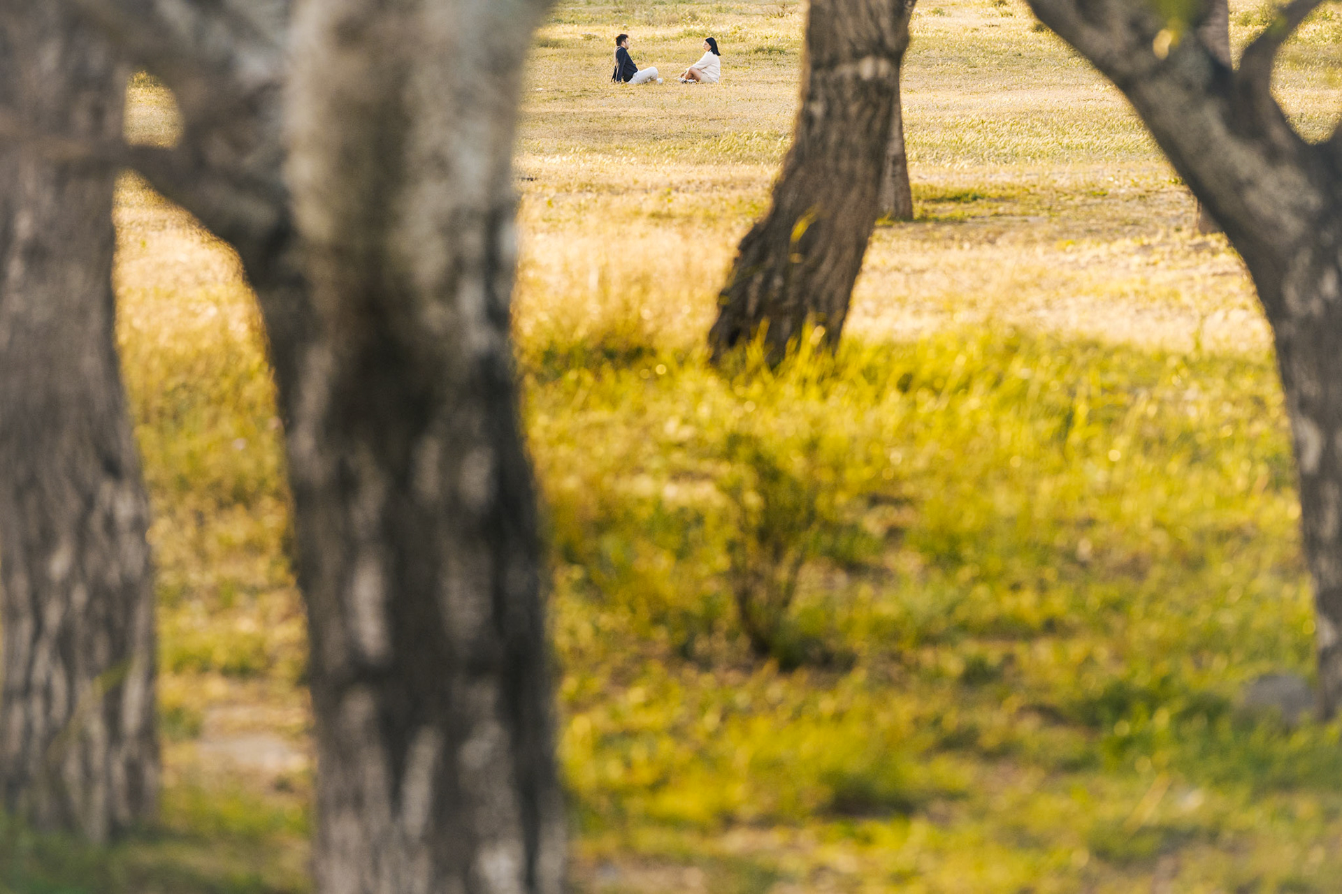 Cornellà de Llobregat