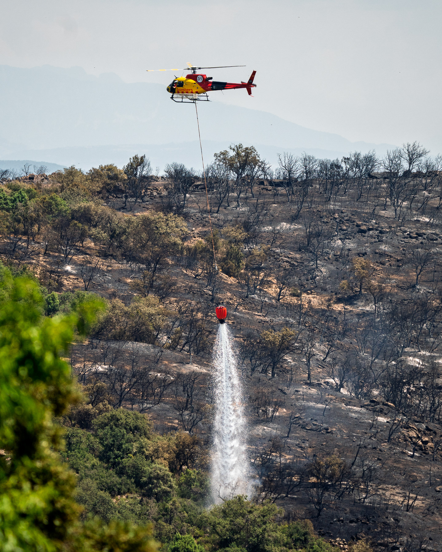 Wildfires in La Segarra, Lleida, Spain 2025
