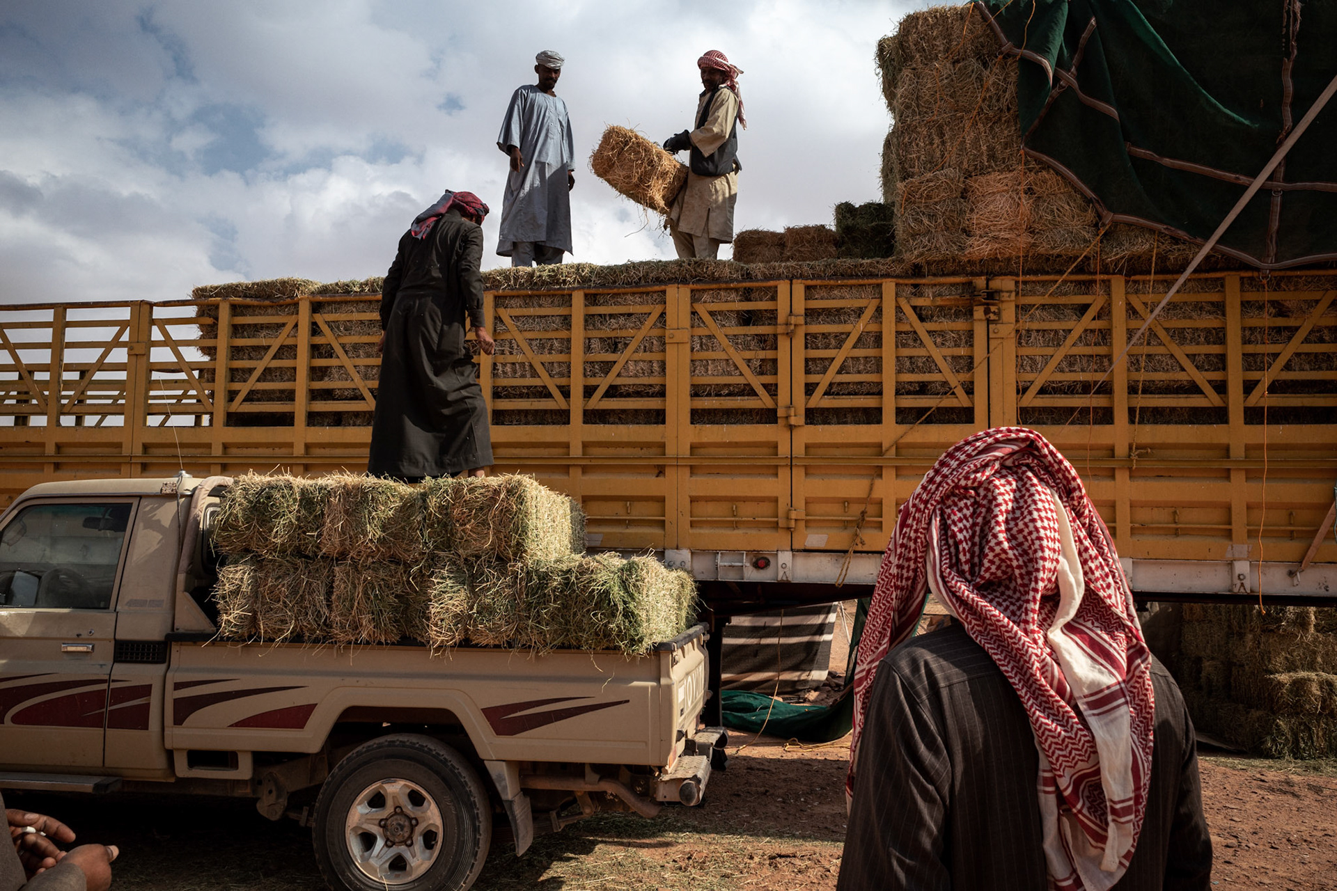 Tabuk desert, Saudi Arabia 2021