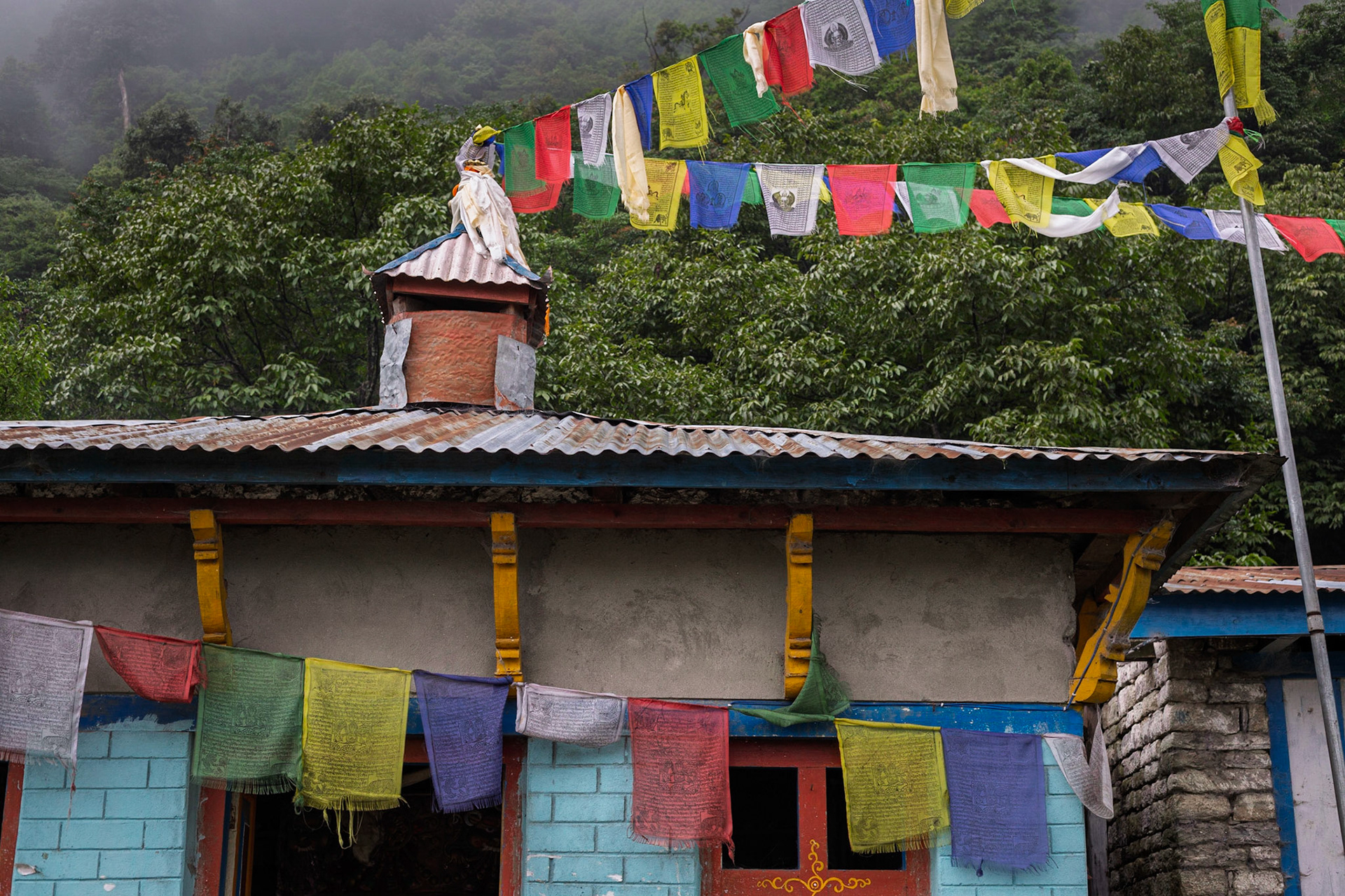 August, 11, 2014 - Quinche, Annapurna Conservation Area