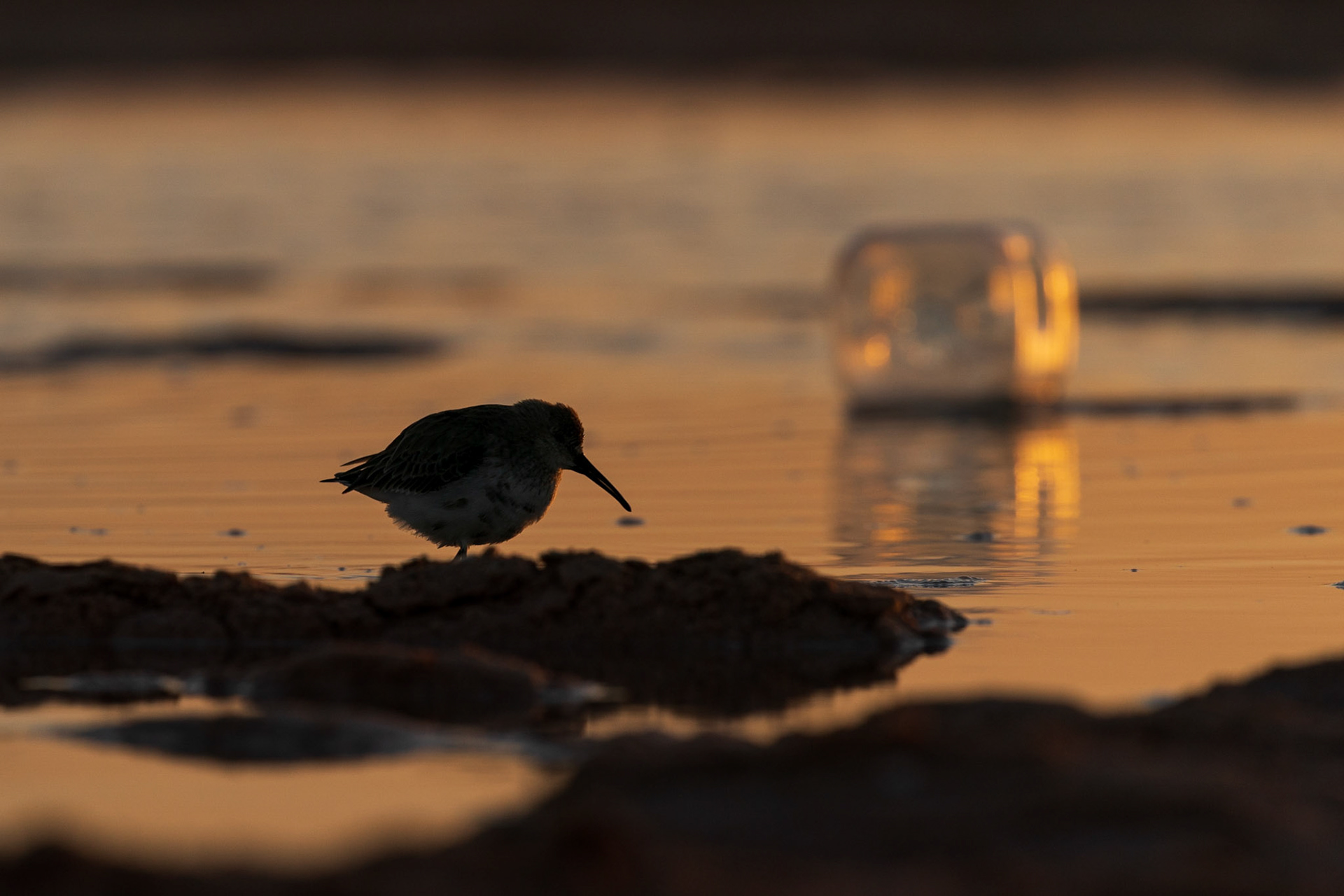 Red Sea, Saudi Arabia