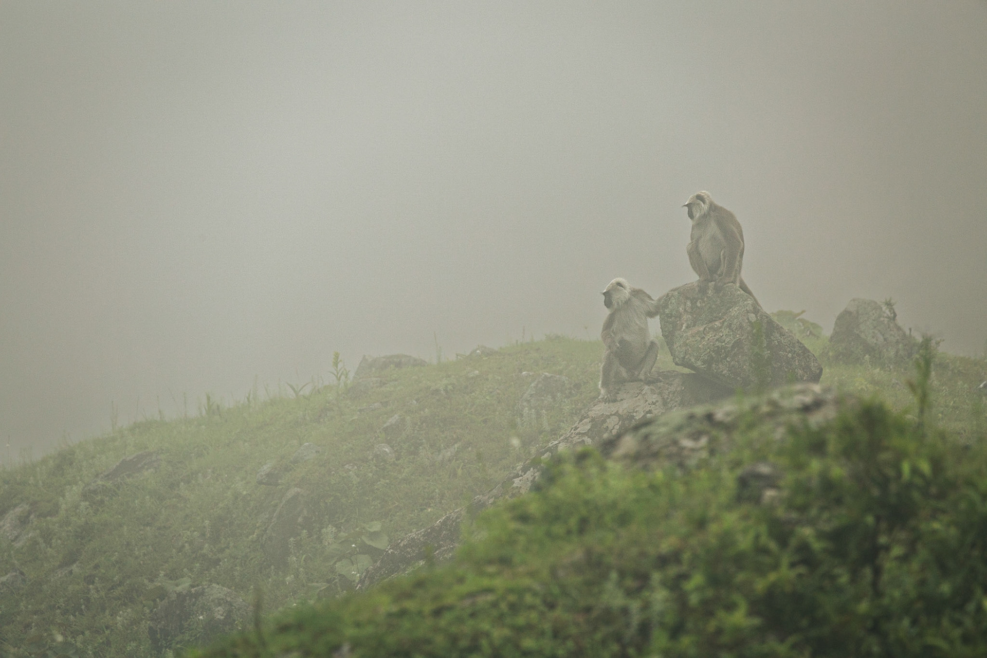 August, 9, 2014 - Annapurna Conservation Area