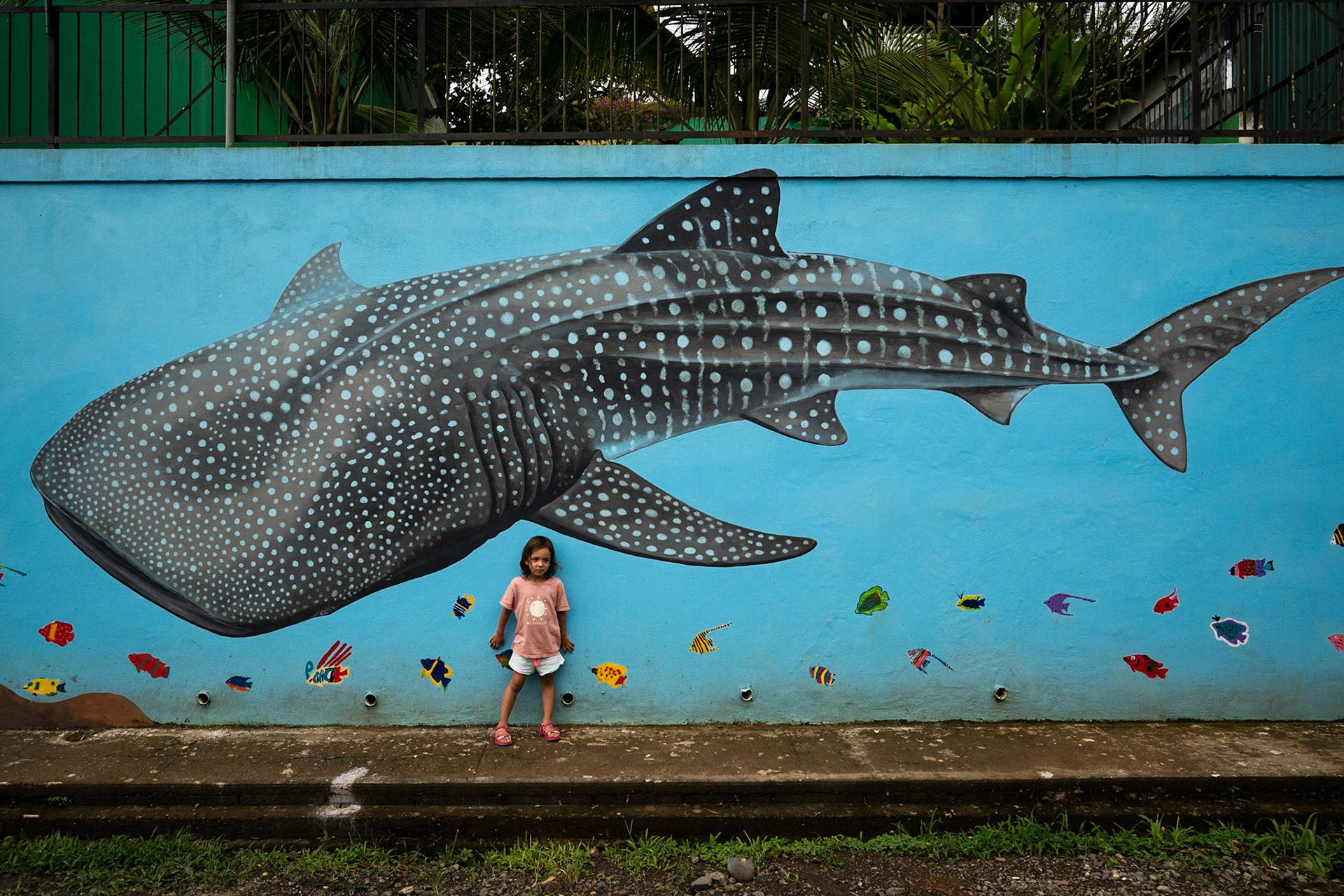 Bahía Drake, Costa Rica