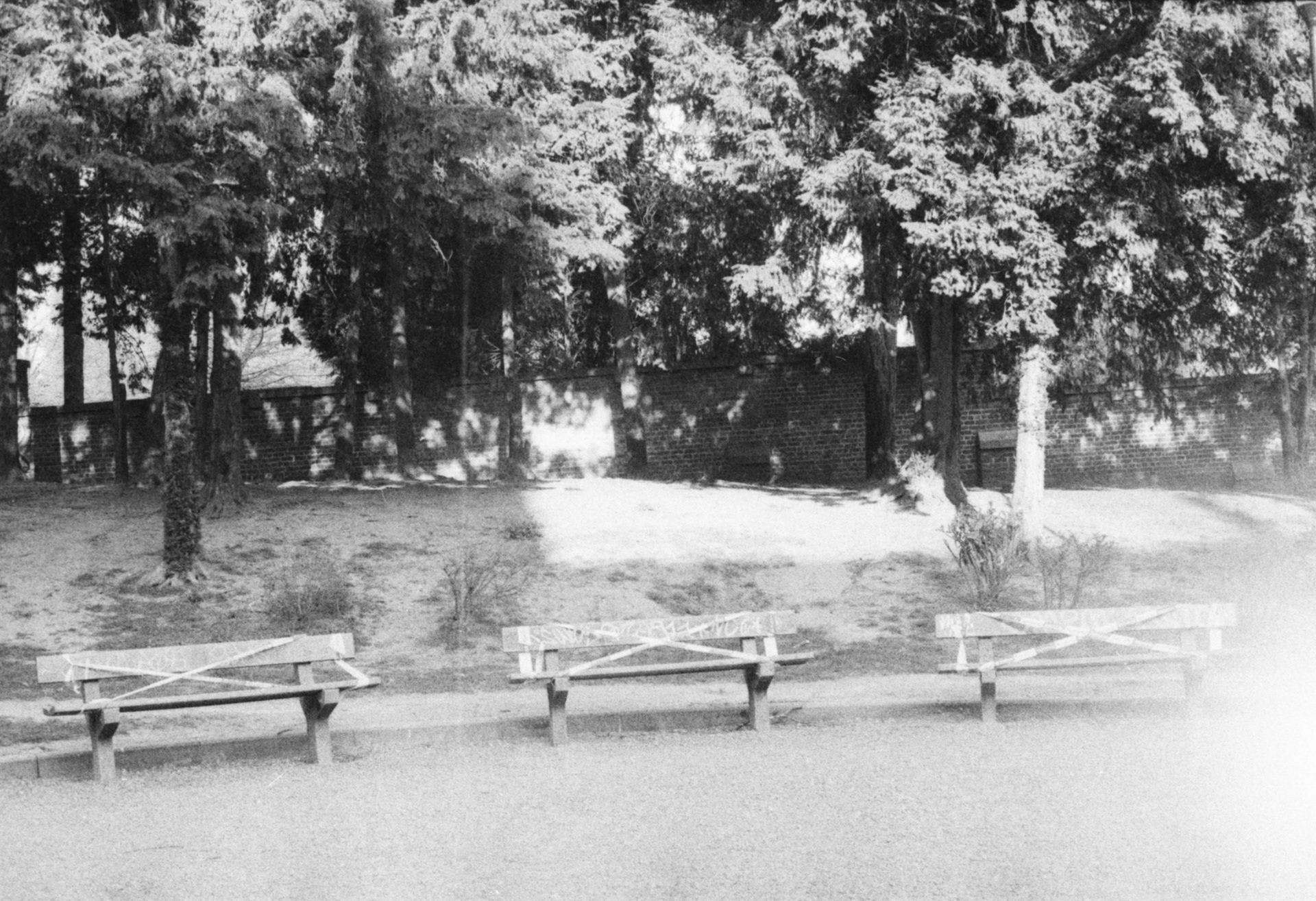 Ixelles (Belgique), 2020 / Canon AE1 Program + Ilford HP5+ 400