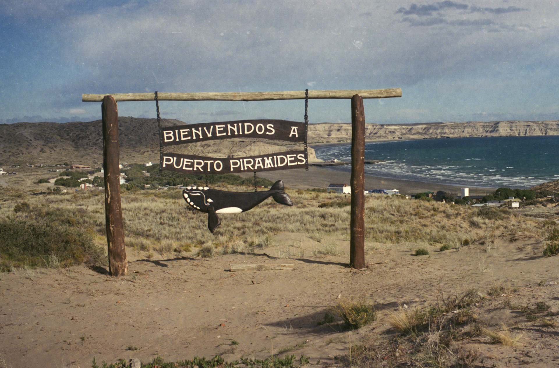 Puerto Piramides (Argentine), 2019 / Canon AE1 Program + Kodak Ultramax 400