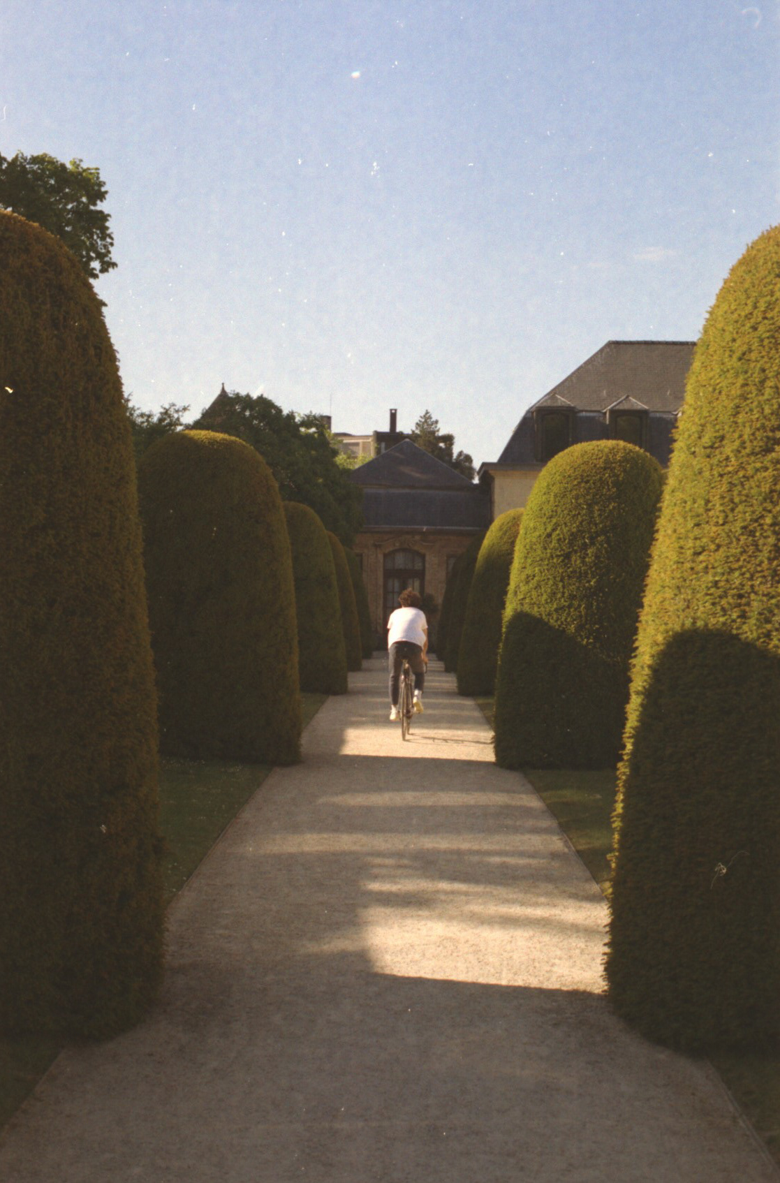 Ixelles (Belgique), 2020 / Canon AE1 Program + Fujicolor Superia 100