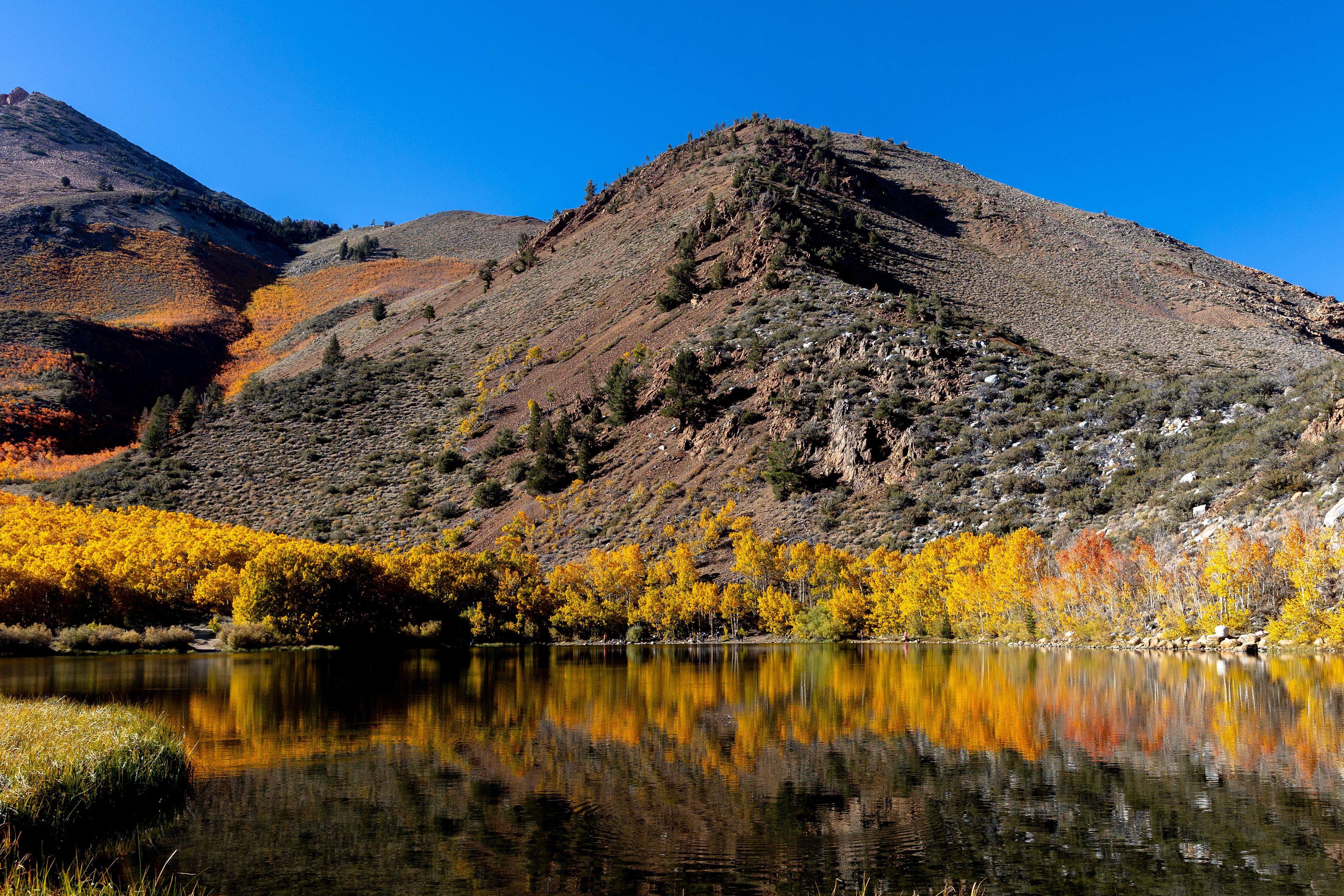 North Lake , California