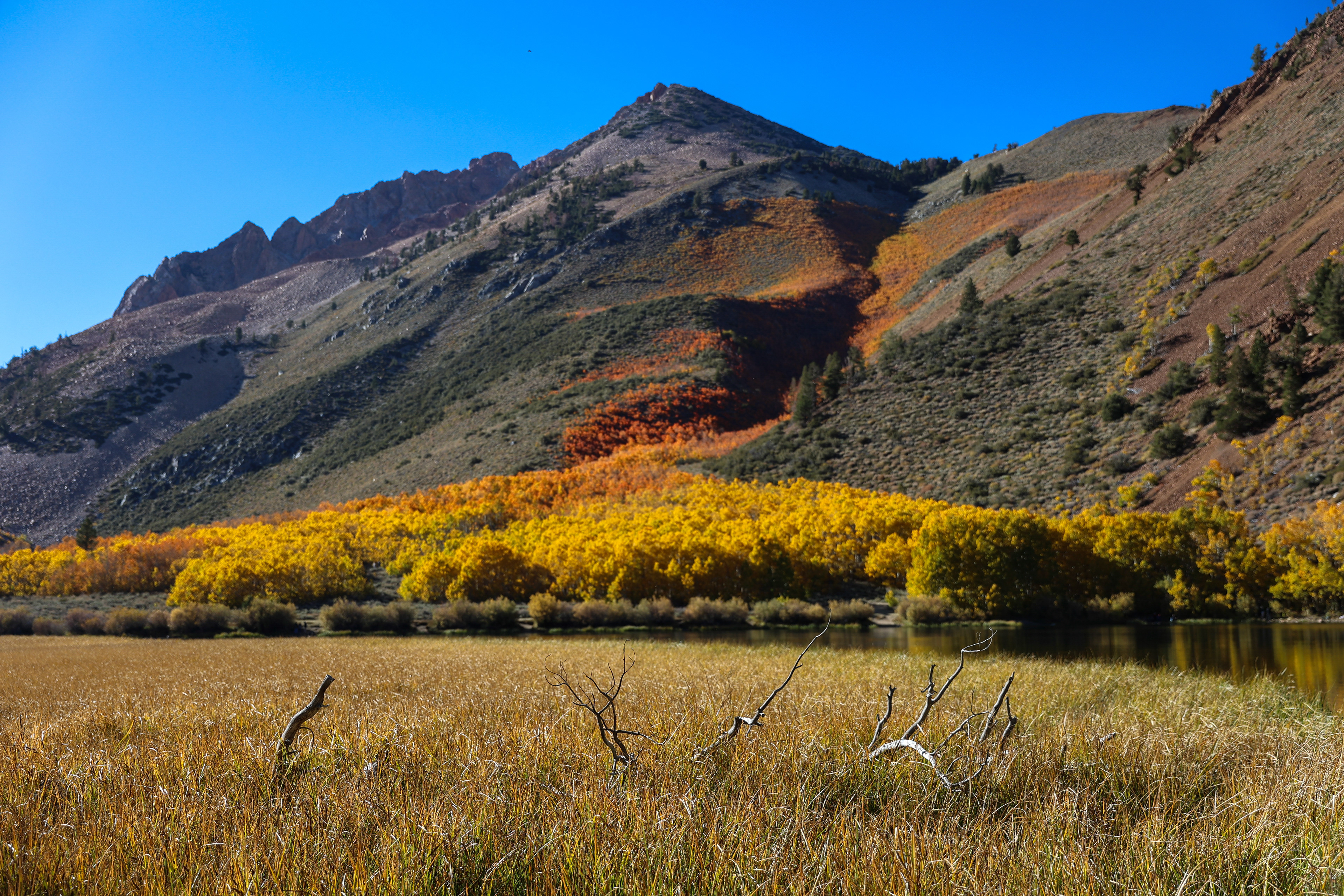 North Lake , California