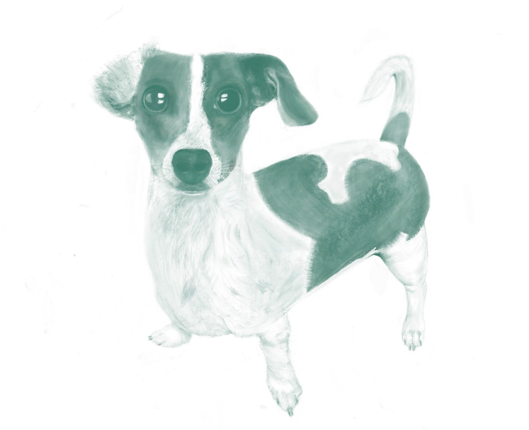 Kiko | Digital Illustration (2024)
