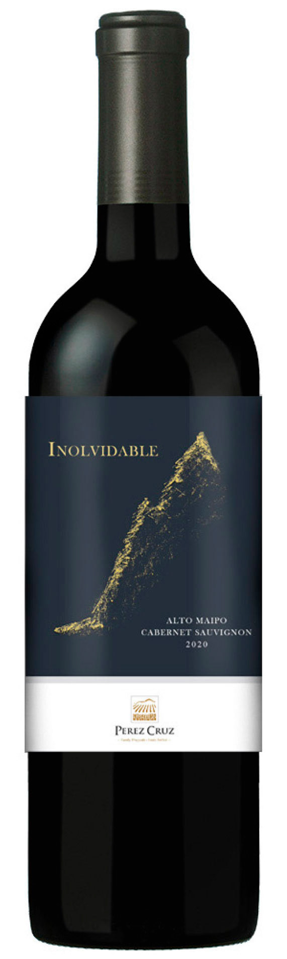 Tier 2 | Perez Cruz Inolvidable 2020 | Alto Maipo, CL