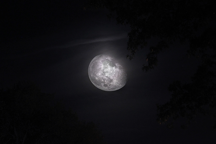 Harvest Moon | Mount Juliet, TN. 2024
