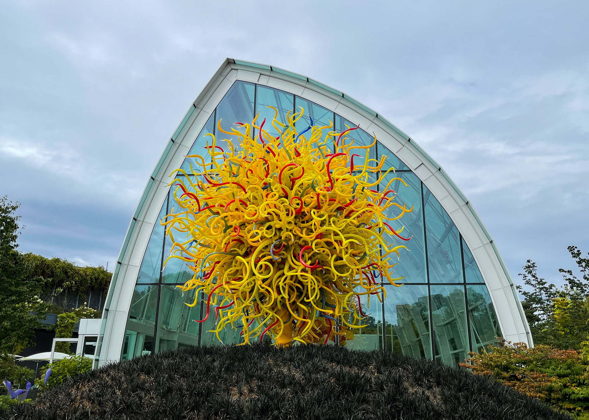 Chihuly