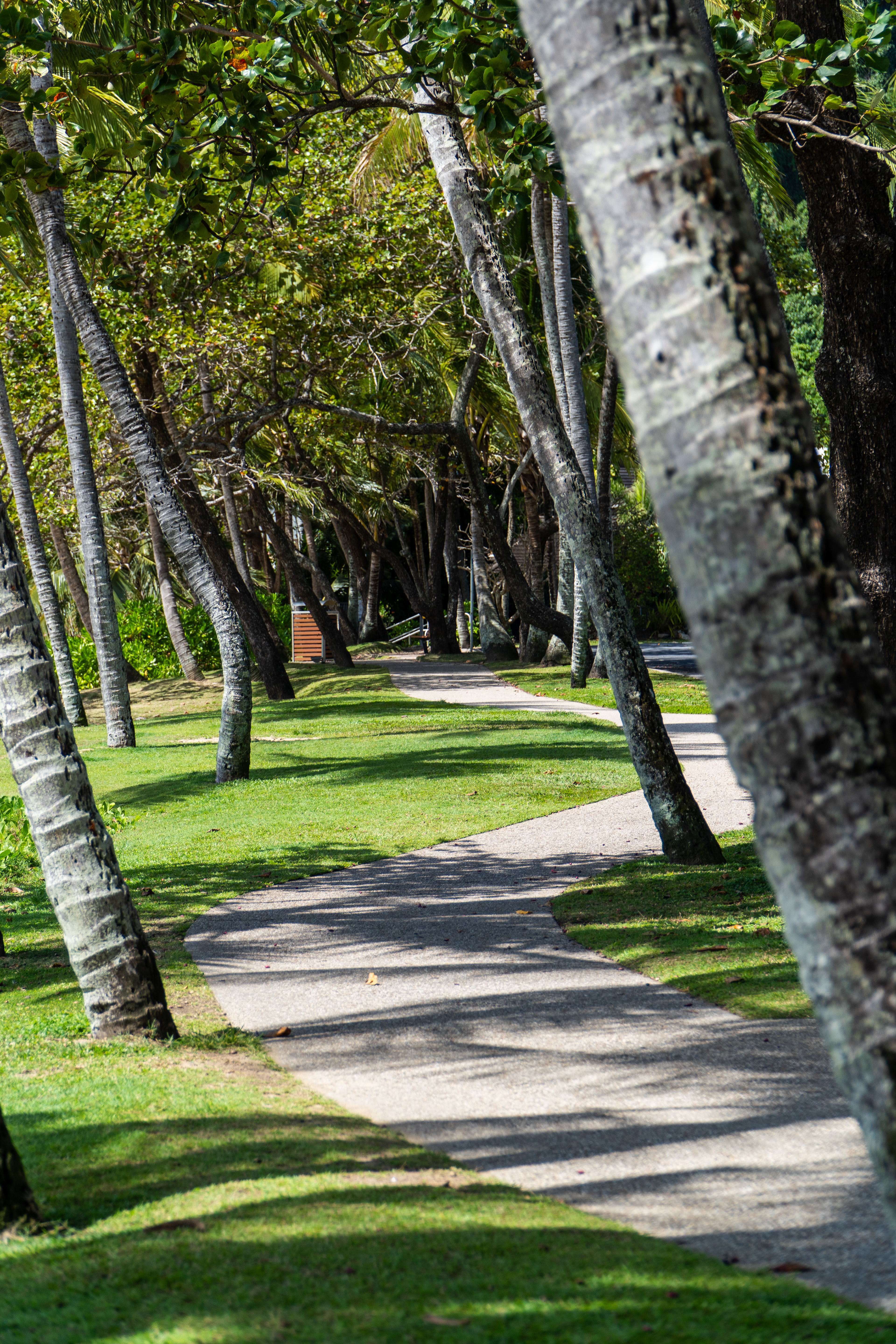 Trinity Beach, Cairns, Australia