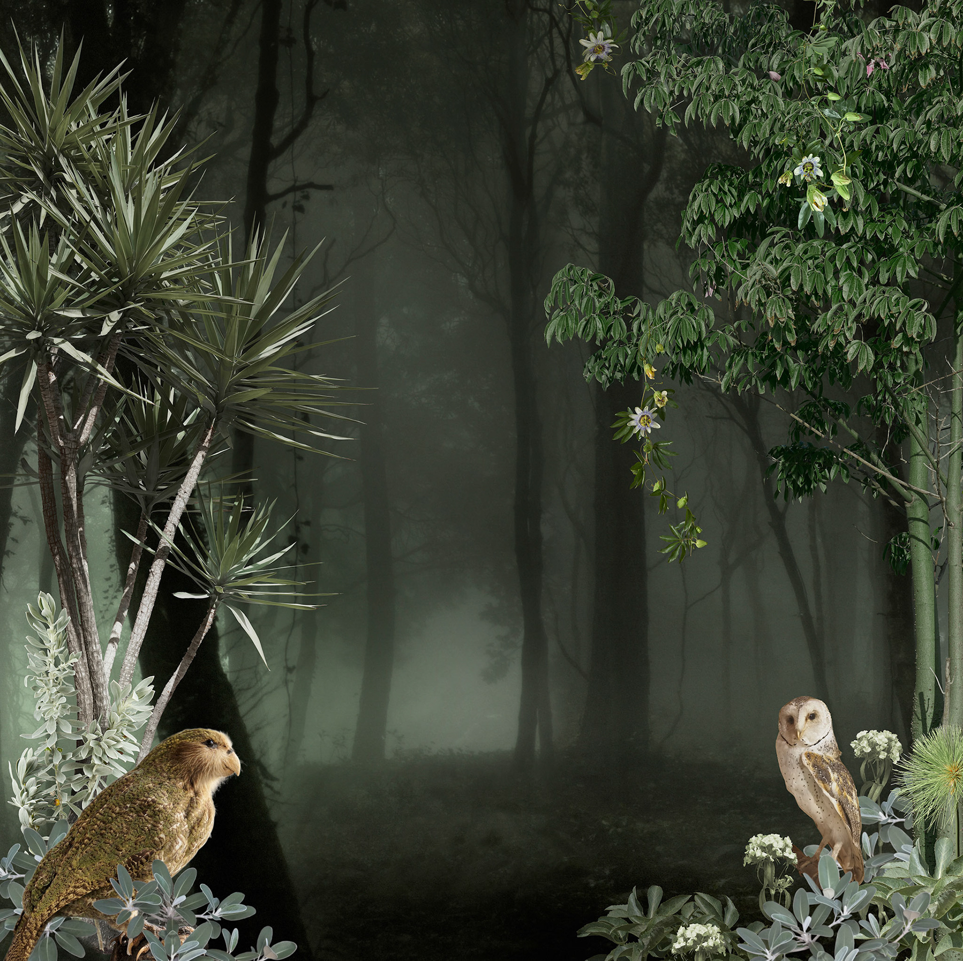 Unnatural Migrations - Series 2  #4