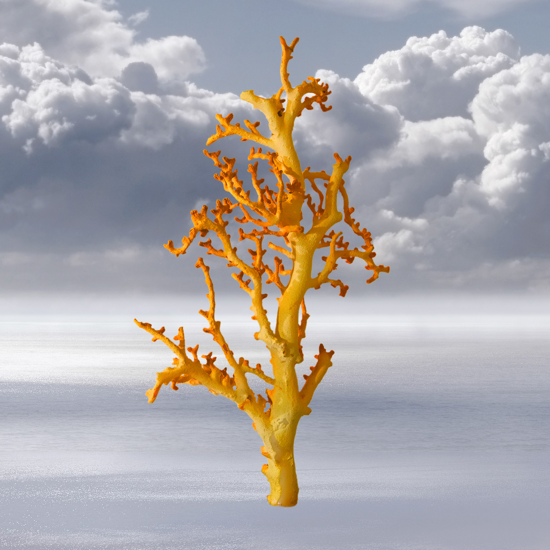 Float II 2023     -     50 x 50 cm