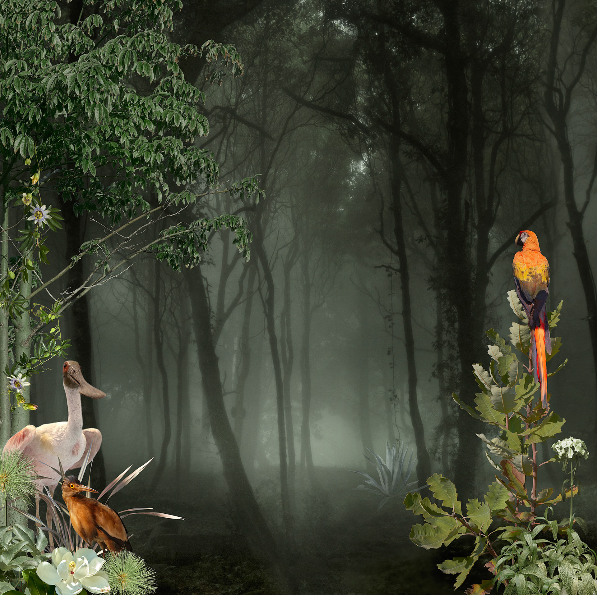 Unnatural Migrations - Series 2  #3