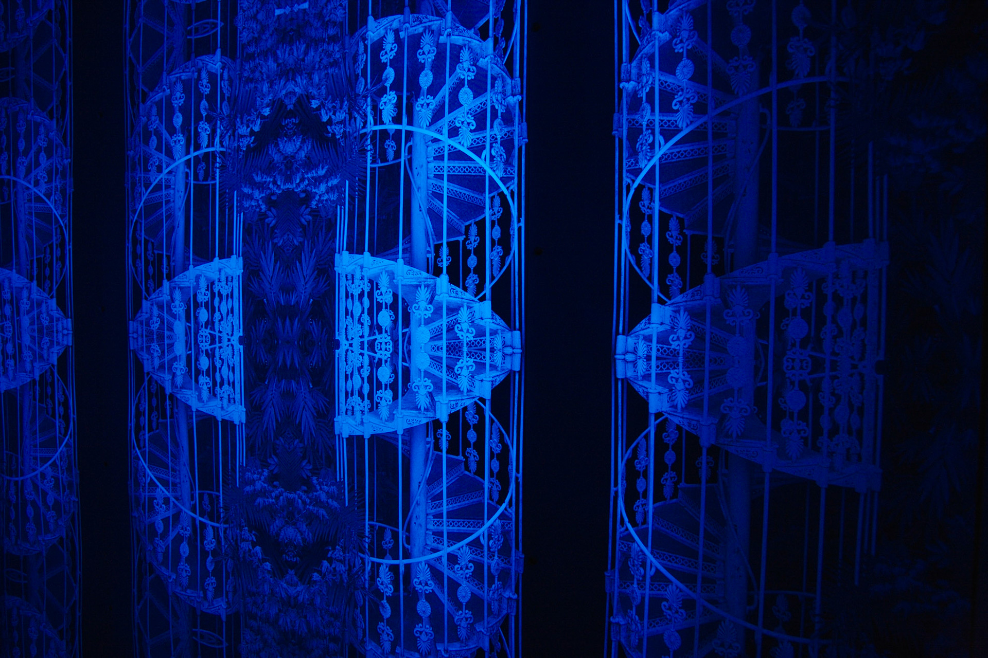 Understory Installation View - 2011