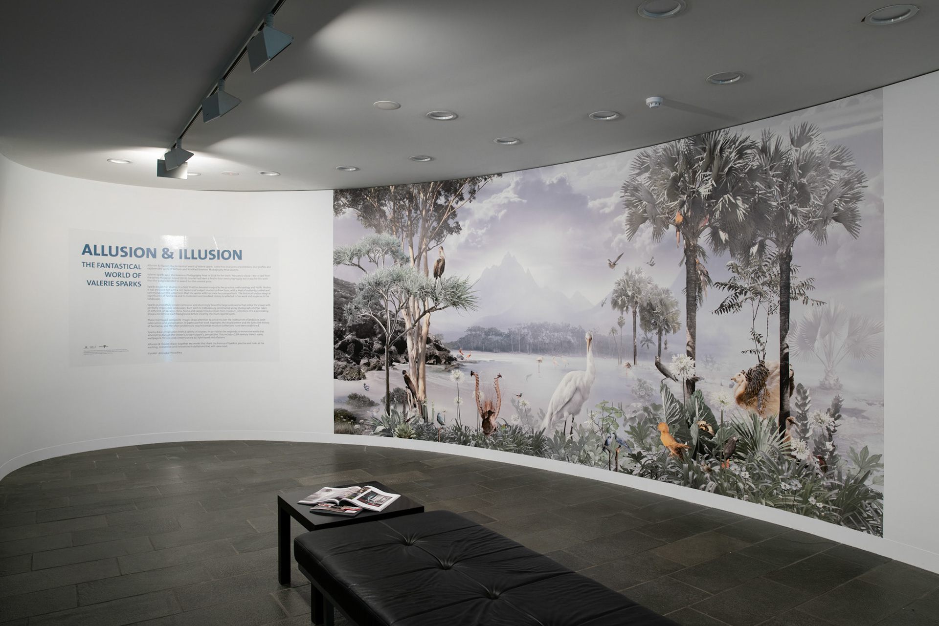Museum of Australian Photography exhibition Allusion and Illusion 2018
