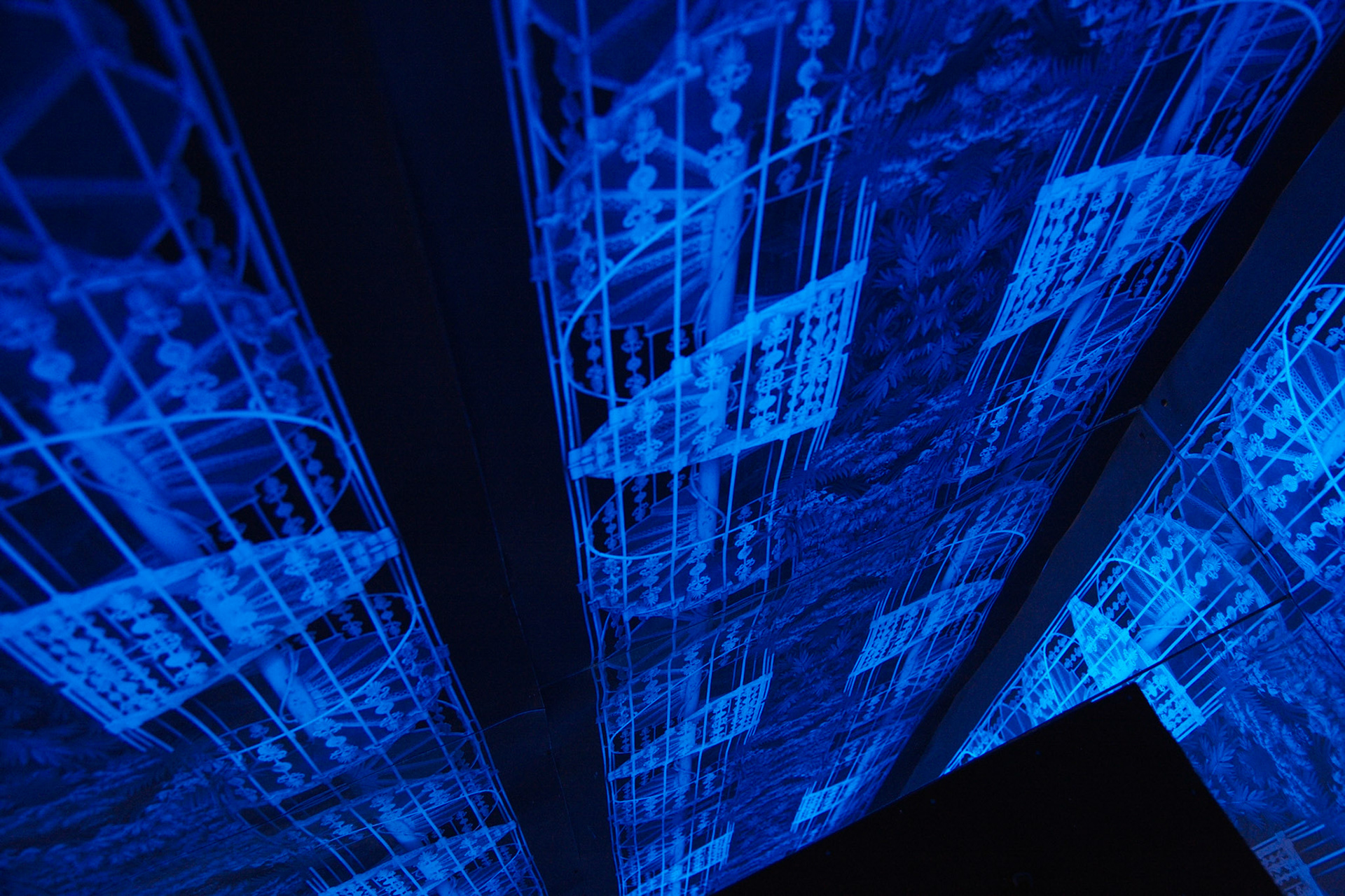 Understory Installation View - 2011