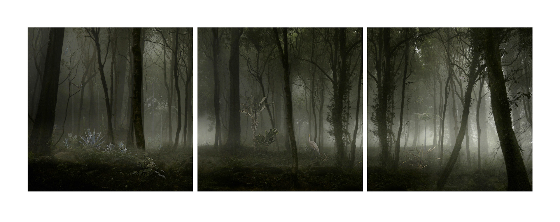 UNNATURAL MIGRATIONS  2012            183 x 60 cm