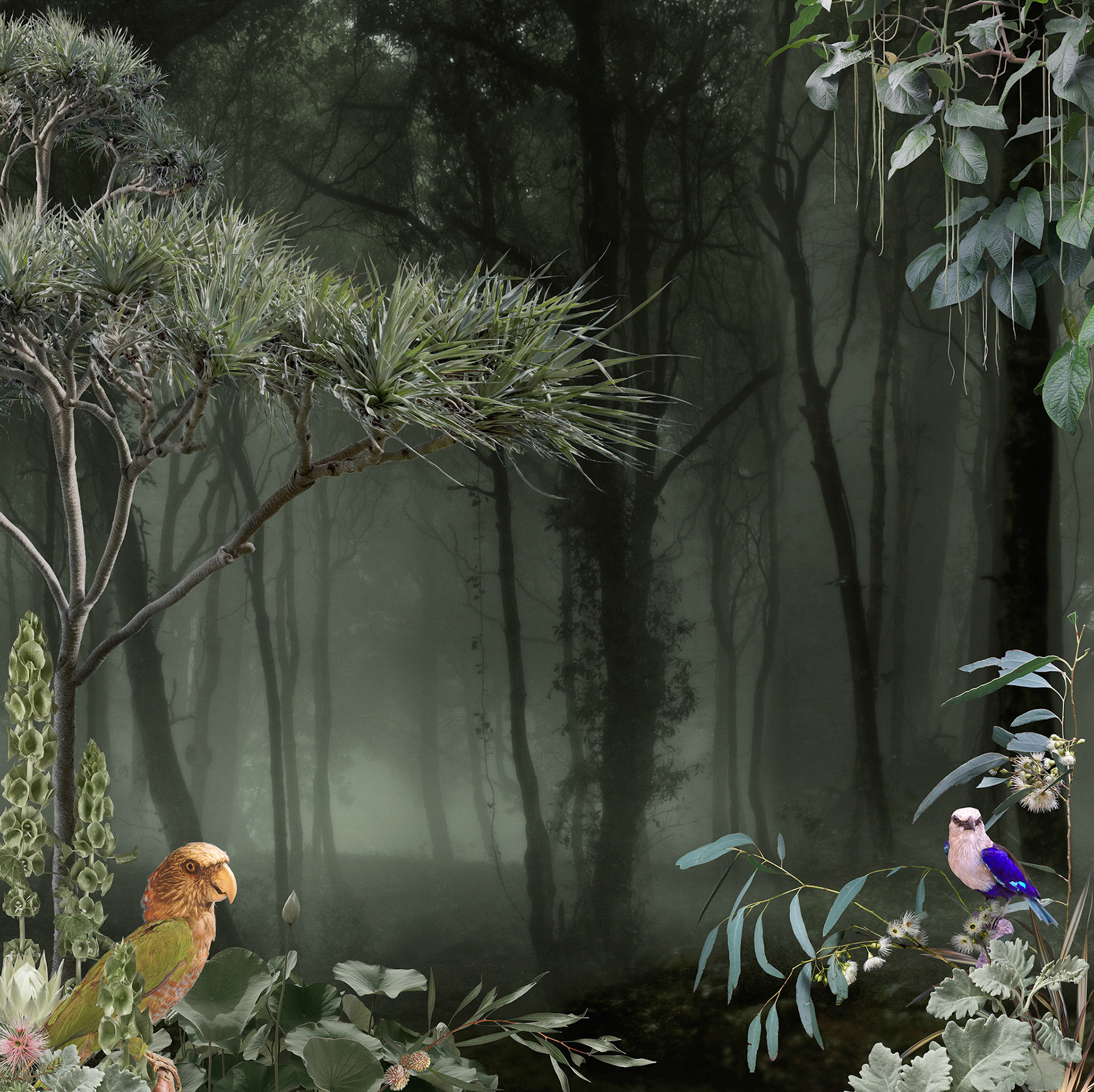 Unnatural Migrations - Series 2  #1