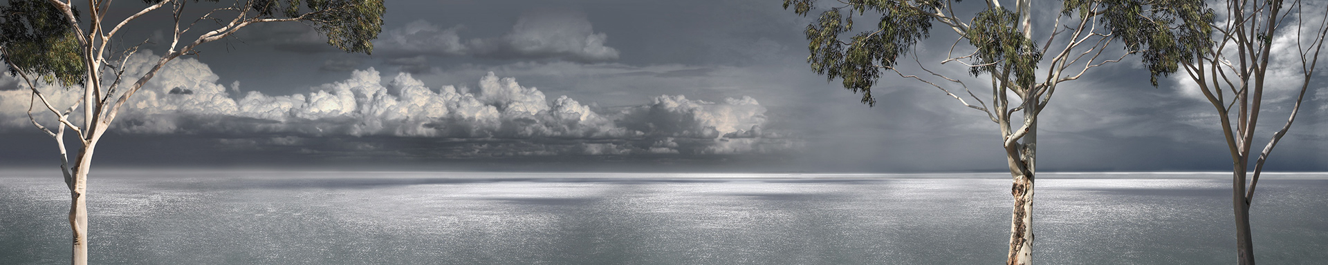 this weather - 2009          250 x 50 cm