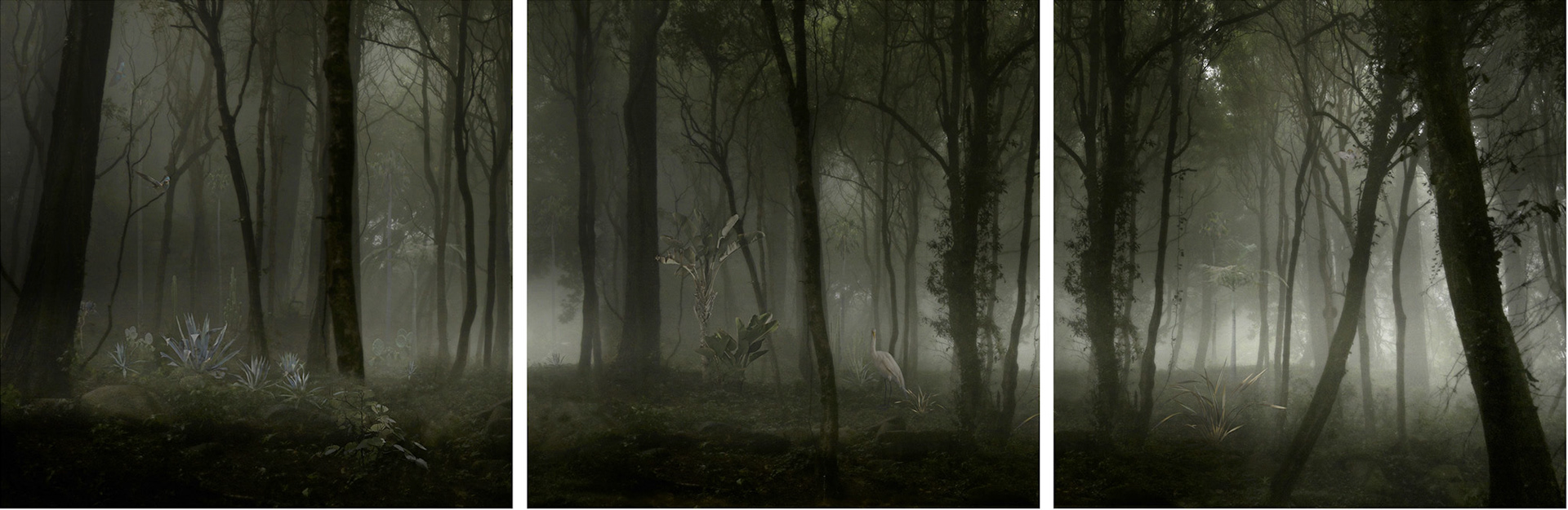 Unnatural Migrations 2012 183 x 60 cm