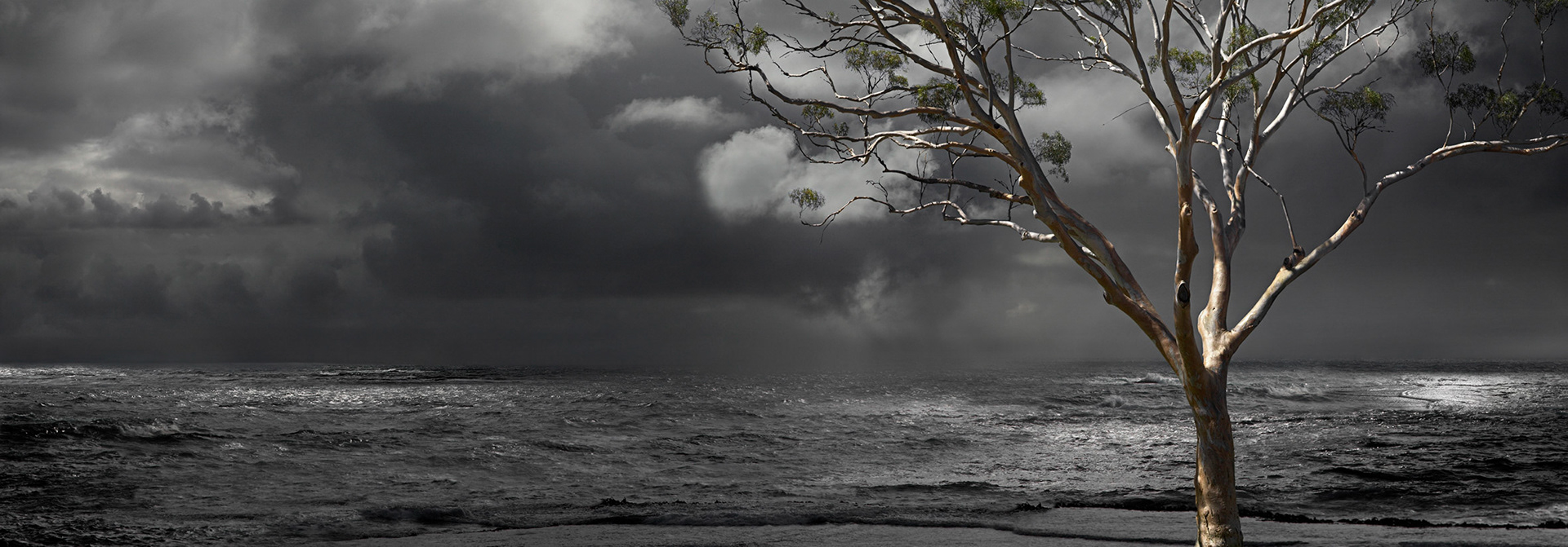 this weather 2 #3 - 2010          200 x 70 cm