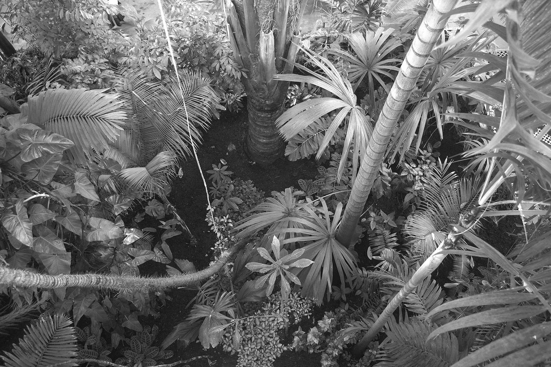 Understory Installation Ceiling Work - 2011