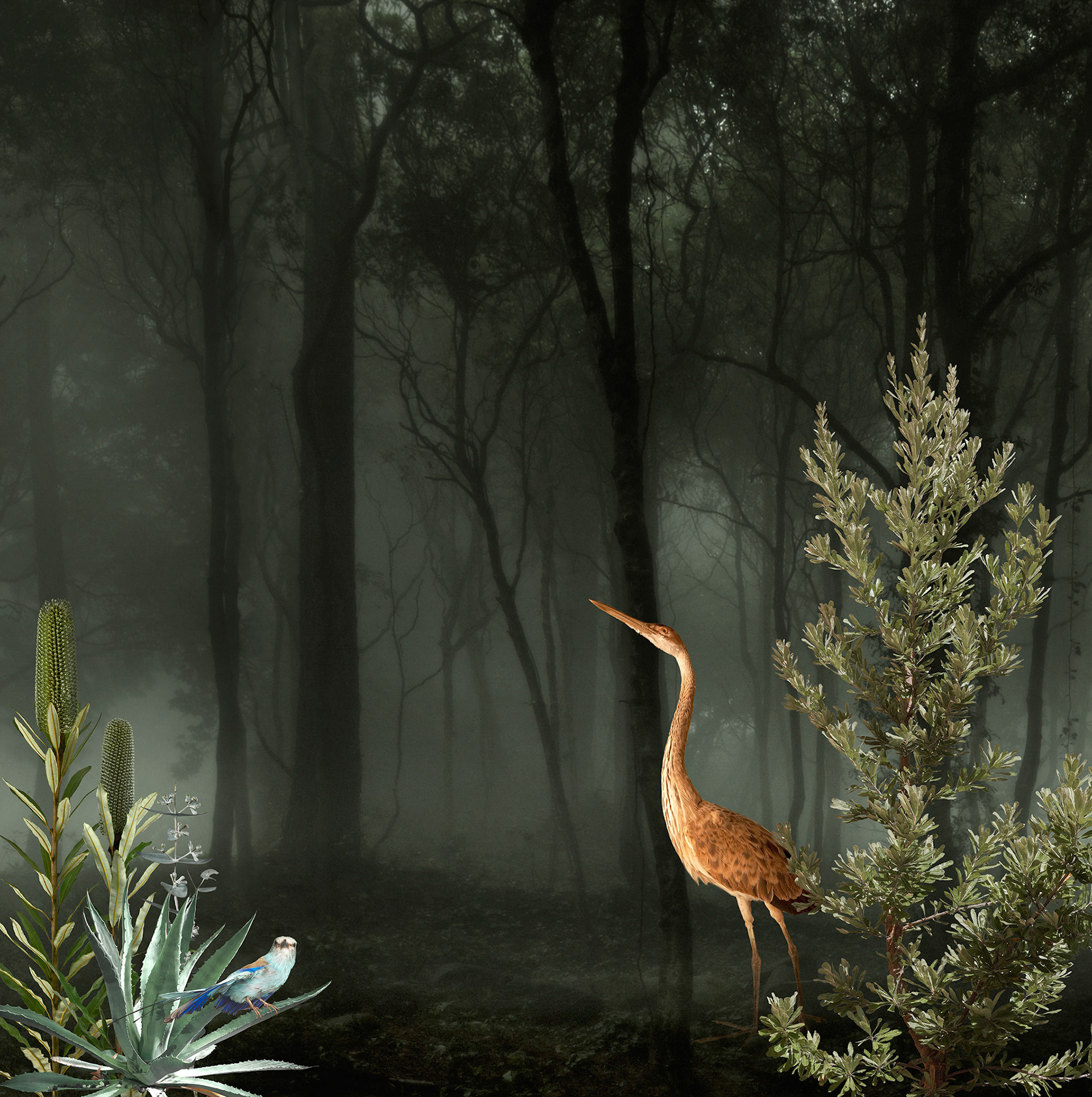 Unnatural Migrations - Series 2  #2